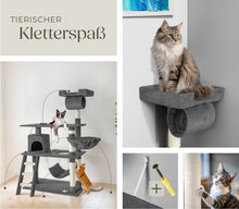 Laden Sie das Bild in den Galerie-Viewer, Kratzbaum MARCO 141 cm