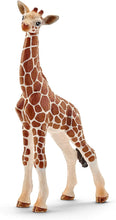 Laden Sie das Bild in den Galerie-Viewer, Schleich  Wildtiere-Set Afrika, 8-teilig plus original Schmidt  Wildnis-Puzzle