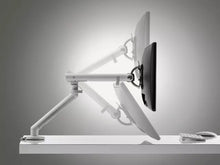 Laden Sie das Bild in den Galerie-Viewer, Colebrook Bosson Saunders Monitorhalterung Schreibtisch Halterung Computerbildschirm
