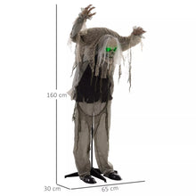 Laden Sie das Bild in den Galerie-Viewer, Halloween Dekoration Skelett 160 cm mit LED-Lichter Soundfunktion